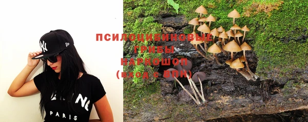 apvp Покровск