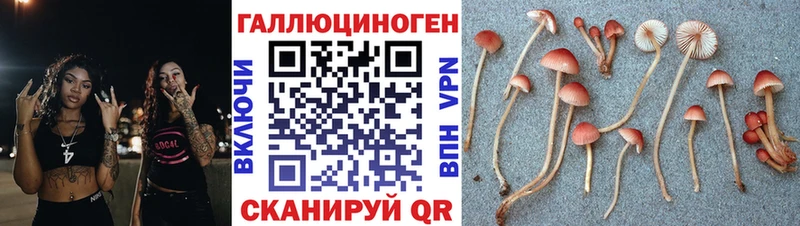 купить закладку  Ревда  Псилоцибиновые грибы Cubensis 