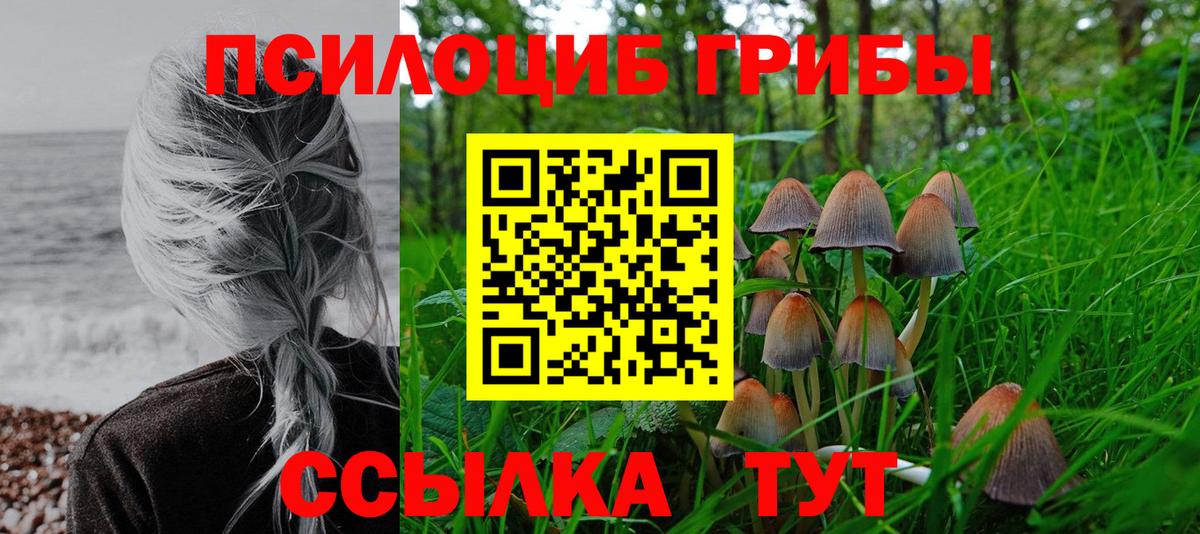 Псилоцибиновые грибы Psilocybine cubensis Ревда