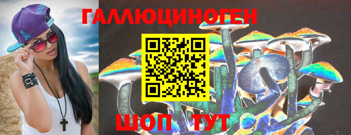 Ревда  Галлюциногенные грибы Psilocybe  закладка  Вход с VPN 
